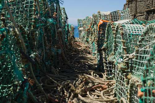 rope blue and brown ropes net